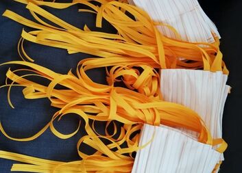 ROUŠKY ZDARMA PRO VŠECHNY