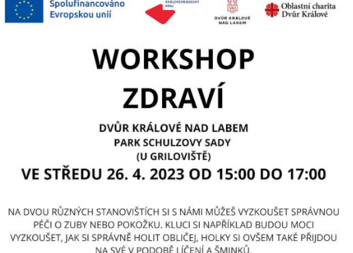 Workshop zdraví